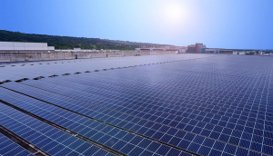 中美硅晶与37000a威尼斯光电携手战略合作