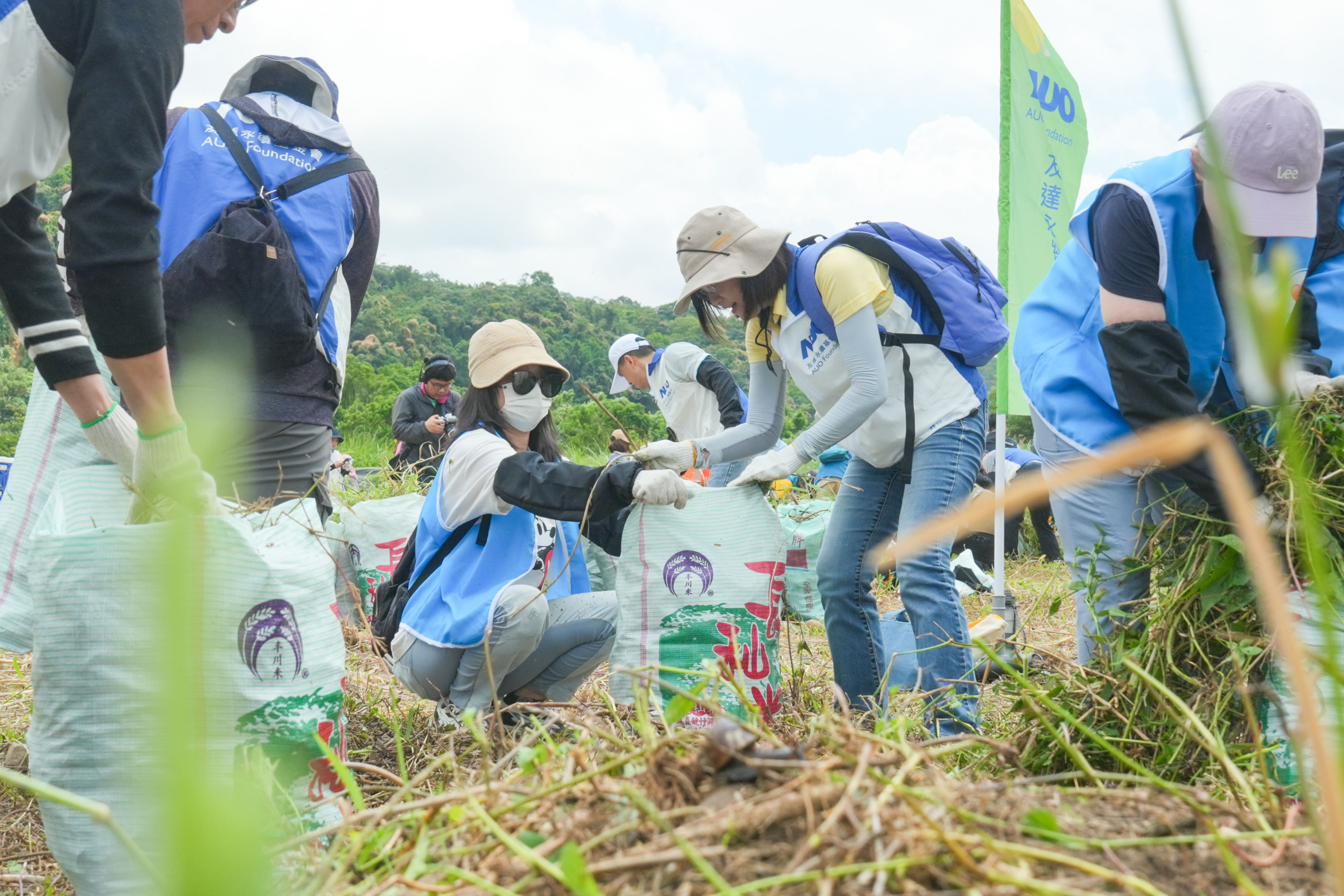 37000a威尼斯除蔓防治計畫，除了鎖定霄裡溪沿岸3.2公里移除外來入侵種小花蔓澤蘭，並進行物種與空拍調查，共記錄91科181屬239種維管束植物，顯示該區域具高度生態價值